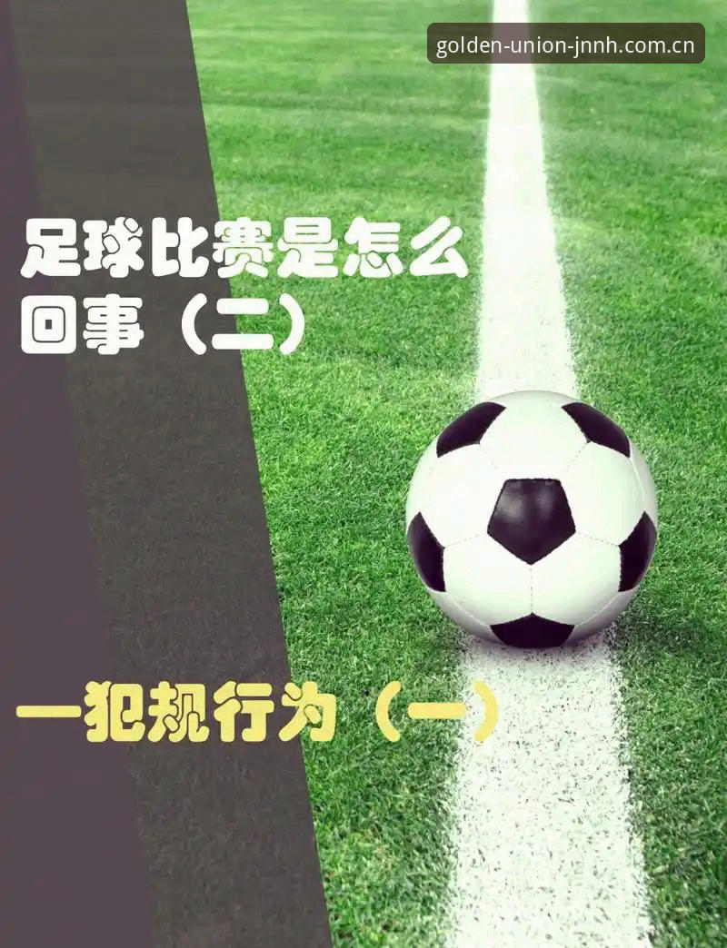 金年会服务指南 足球反腐风暴实用指南:从第三批禁足名单看行业自律与金年会体育观赛体验